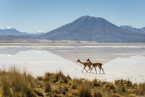 le-Salar-Ascotan-au-nord-du-Chili-Sernatur-web