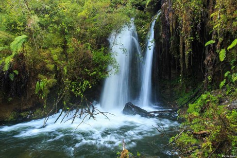 Parc-National-Alerce-Andino-a-Puerto-Montt-Chile-Travel-web