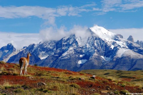 Un-voyage-en-Patagonie-Australe-Patagonia-Hotel-web