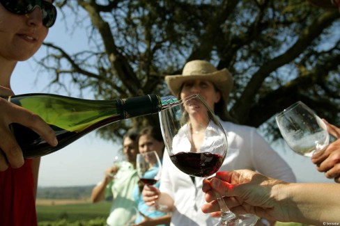 Deguster-un-verre-de-vin-blanc-dans-la-Vallee-de-Casablanca-Sernatur-web