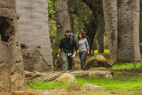 Randonnee-dans-le-parc-national-la-Campana-Sernatur-web