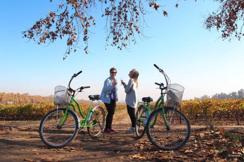 Une-balade-a-velo-dans-la-Vallee-de-Maipo-Sernatur-web