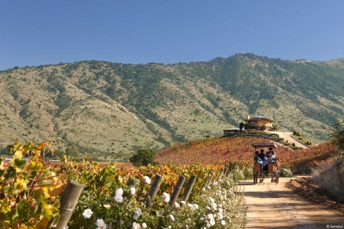 sur-la-route-des-vins-dans-la-Vallee-de-Colchagua-Sernatur-web
