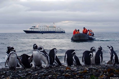 Croisière Australis, débarquement sur l'Isla Magdalena