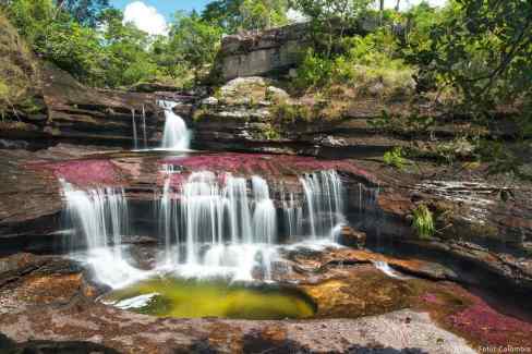 9-Cano-Cristales-3-Flickr-Fotur-Colombia-Cano-Cristales-web