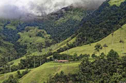 4-Cocora-1-Pixabay-Vallee-de-Cocora-web