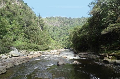 Fleuve Magdalena en Colombie du sud