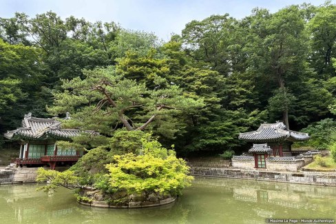 Monde-Authentique-Coree-du-Sud-Immersion-a-Seoul-Palais-Changdeok-jardin-secret-Maxime-Le-Page