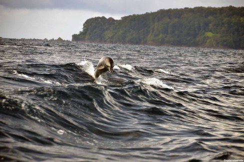 Cano-Island-Biological-Reserve_02_L_300dpi-web