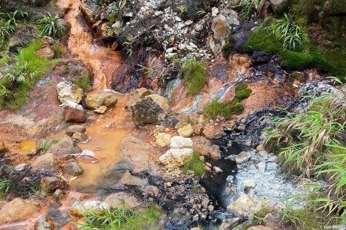 Activité géologique sur le sentier du Boiling Lake en Dominique