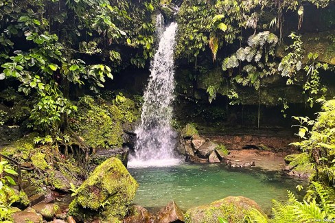Emerald Pool sur l'île de la Dominique