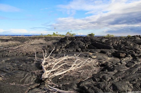 Champ de lave Kilauea - Hawaï