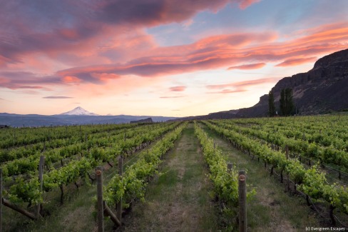 10 - Cascade Cliffs Vineyard & Winery, Wishram, Washington Wine Commission (credit Evergreen Escapes)