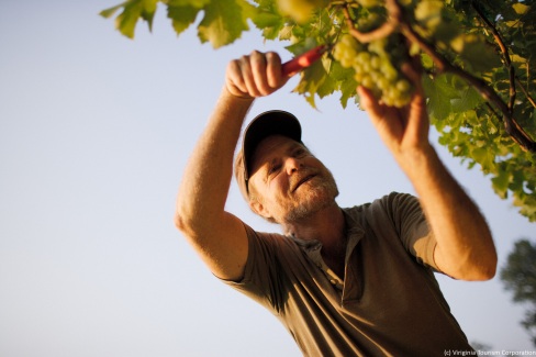 7 - Jim Law, owner of Linden Vineyards (credit Virginia Tourism Corporation)