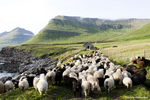 Faroe Islands