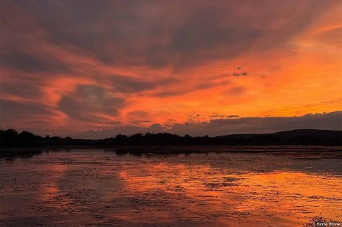 Le soleil ne se couche jamais durant l'été en Laponie finlandaise