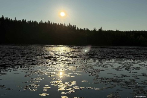 Toute la nature prend un bain de lumière sous le soleil de minuit en Laponie