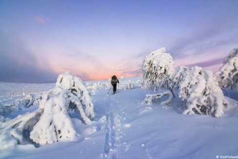 Skier en Laponie finlandaise
