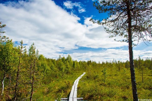Randonnée dans le parc national de Nuuksio en Finlande