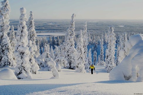 Visitfinland_Skiing-in-the-winter-in-Lapland-among-trees-Finland_2-web