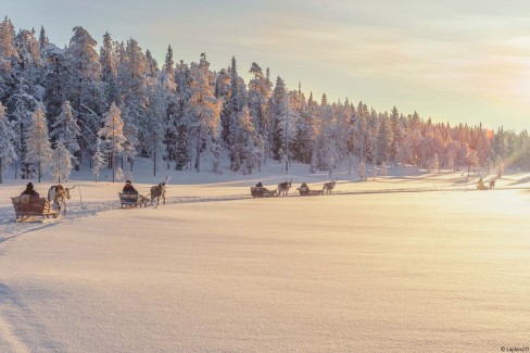 laplandfi_lapland-winter-bucket-list-salla-reindeer-park-timo-tuuha-web