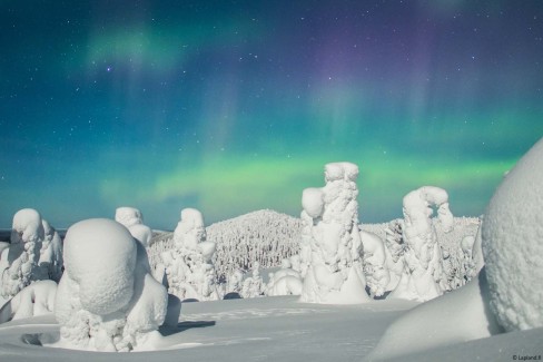 laplandfi_lapland_ruka-visit-scandinavia_aurora_borealis_valtavaara-ruka-kuusamo-maria-mikkonen-web