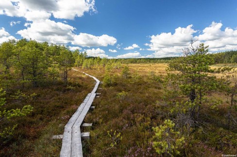 visitFinland_Teijo_national_park-web