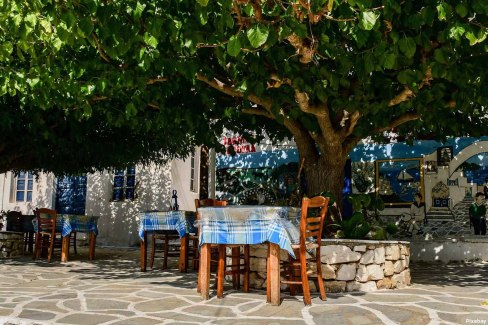 Terrasse à l'ombre des platanes à Paros, dans les Cyclades