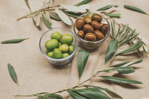 Culture de l'olive en Grèce