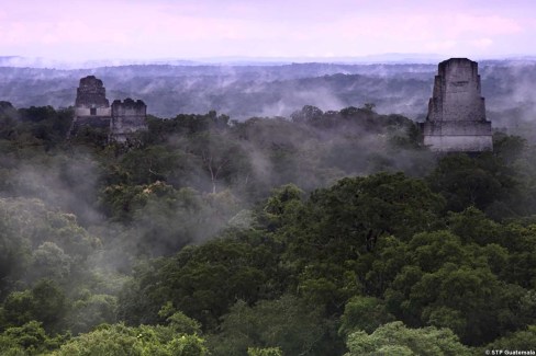 Lever de soleil sur le parc national de Tikal au Guatemala