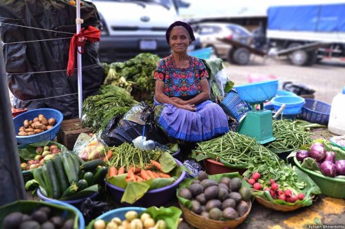 Rencontre avec la culture maya sur le marché d'Antigua