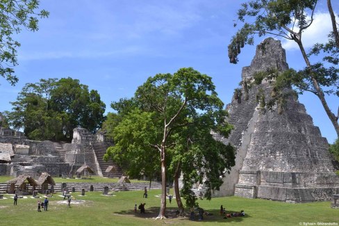 Tikal et ses majestueuses pyramides mayas au Guatemala