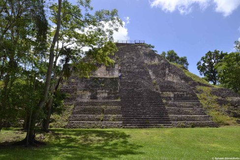 Site archéologique de Tikal, trésor maya d'Amérique centrale