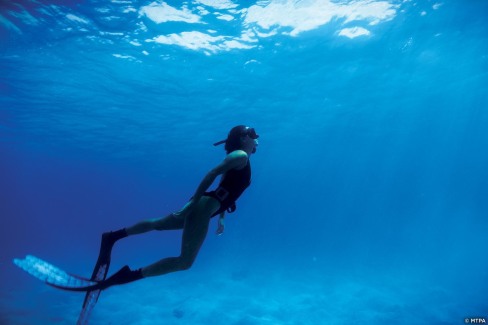 Plongée sous marine dans les eaux translucides mauriciennes
