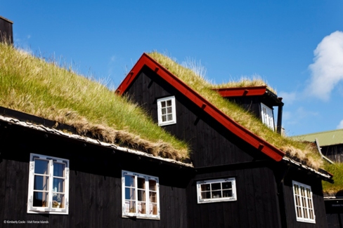 Traditional turf or grass roofed houses located in the historical area known as Tinganes, in the city of Torshavn.