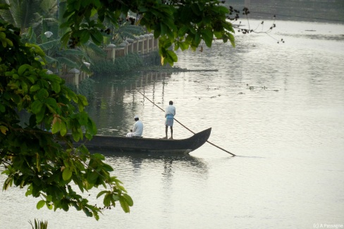 Traversée au coeur des backwaters