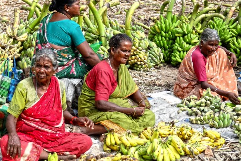 Femmes vendant des bananes sur un marché