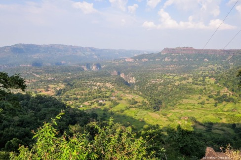 Jungle-de-Patalkot