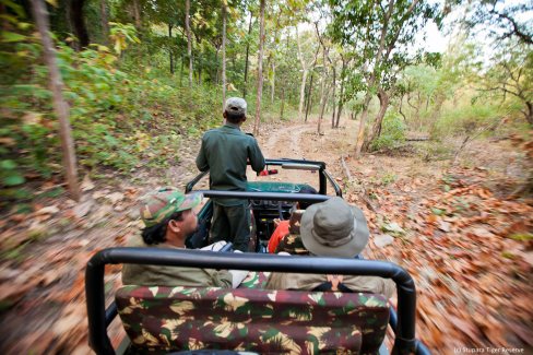 Safari-dans-un-parc