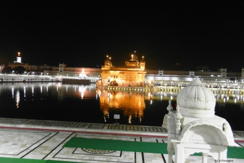 Temple-d-or-Amritsar