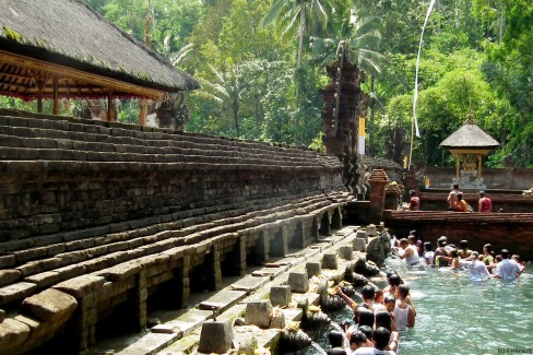 FDO Bali-rites purificateurs au temple de Tirta Empul 2-web