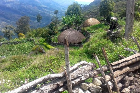 PAPUA_HILIGWA-entre-Hitugi-et-Wamena