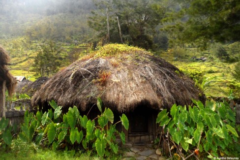 PAPUA_HITUGI-hutte