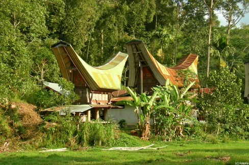 Maison traditionnelle de Toraja, Rantepao