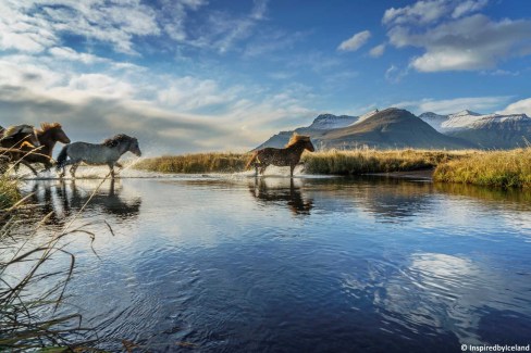 3-InspiredbyIceland_raggi-th-mynd-vatn-hestar-web