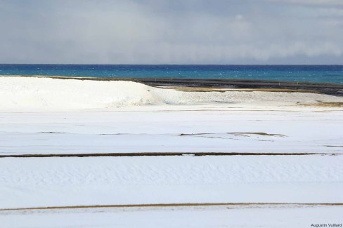 Bord-de-mer-en-hiver-Augustin-Vuillard-web