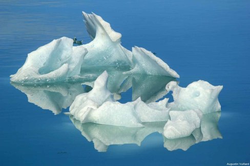 Morceaux-de-glace-flottants-Augustin-Vuillard-web
