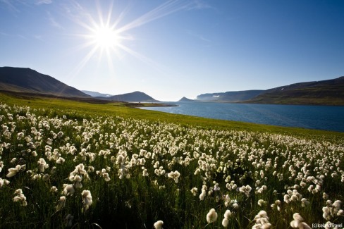 10-IcelandTravel_Westfjords