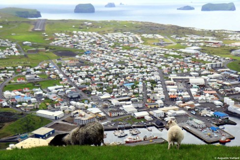 Port de Heimaey - îles Vestmann - Islande