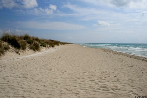 Plage et dunes dans les Pouilles